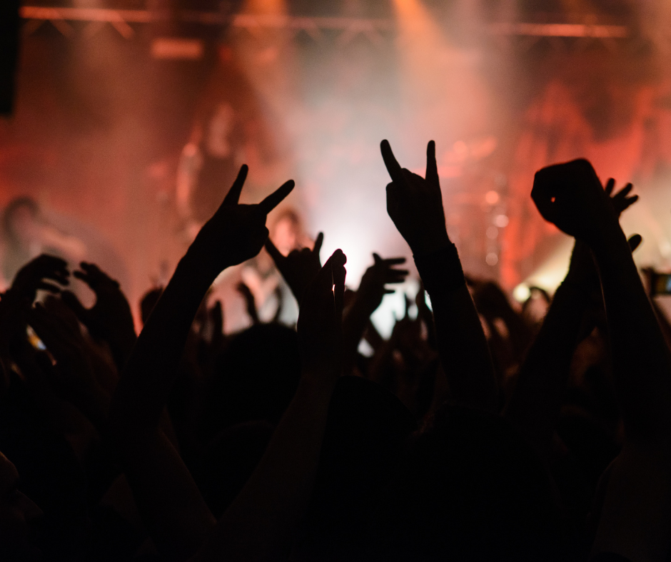 Crowd at a live show